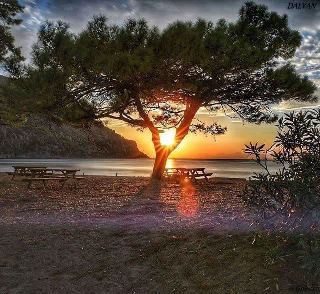 Sirius Hotel Dalyan Εξωτερικό φωτογραφία
