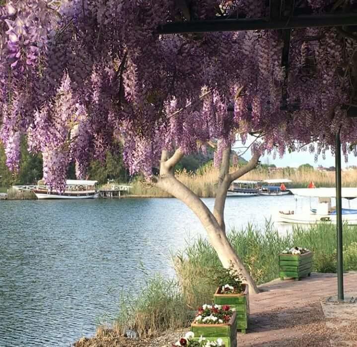 Sirius Hotel Dalyan Εξωτερικό φωτογραφία