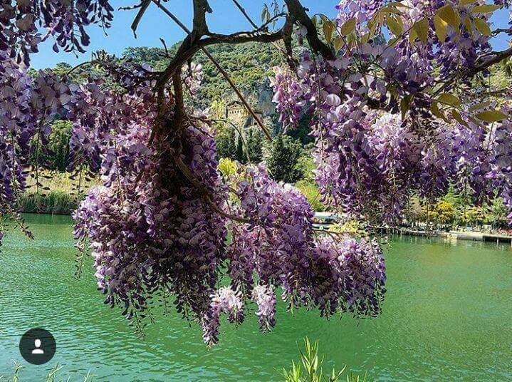 Sirius Hotel Dalyan Εξωτερικό φωτογραφία